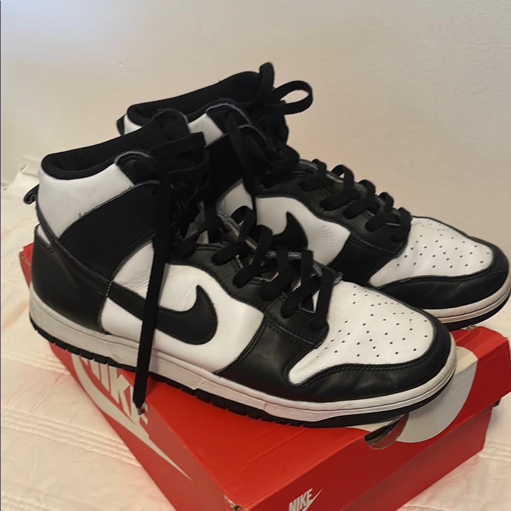 Men’s Nike Dunk High Top Sneakers